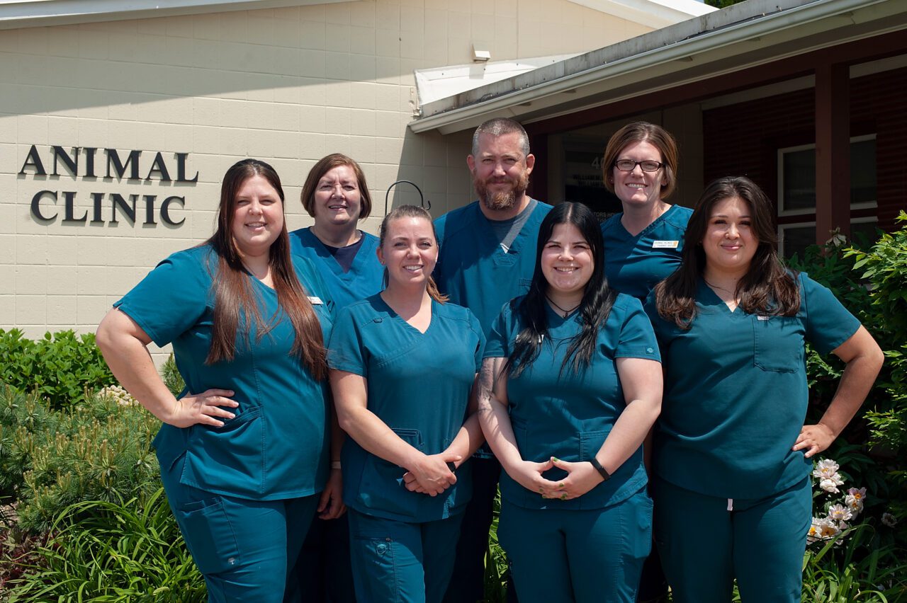 Iowa City, IA Veterinary Team | Animal Clinic Inc.